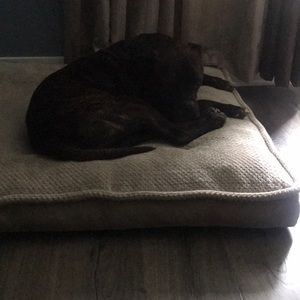 Meet your Posher, Shellie